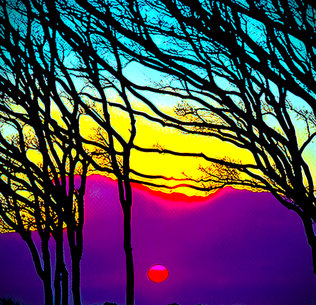 A Walk in Woods in&nbsp;Winter