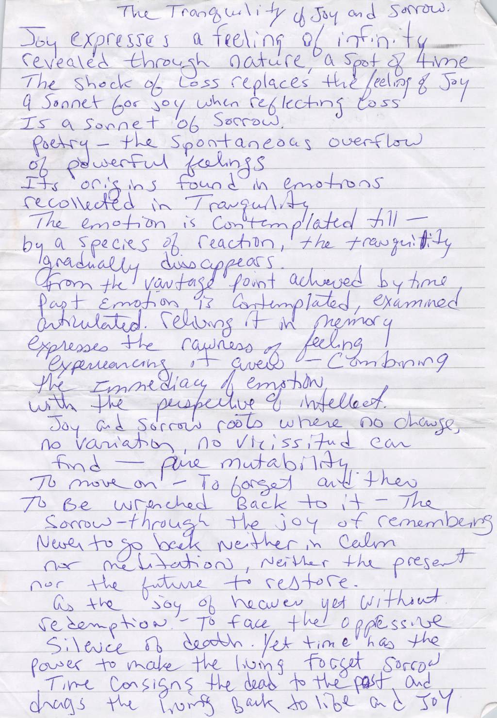 The Tranquility of Joy and Sorrow&nbsp;Draft