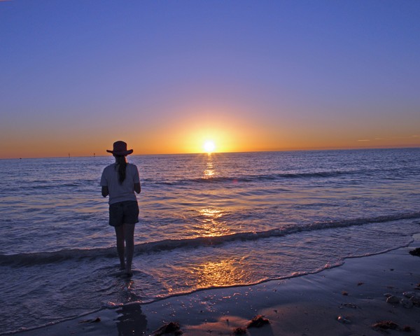 What I Could Not&nbsp;Say