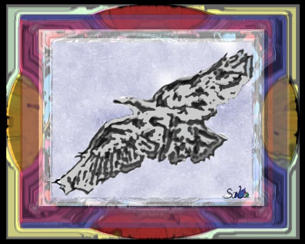 All Ravens are&nbsp;Black